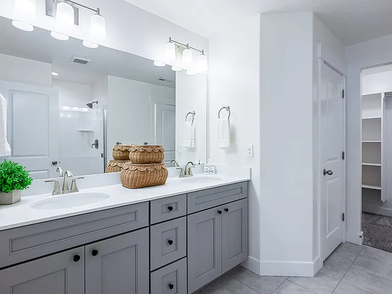 Primary bathroom - double vanity, walk in closet
