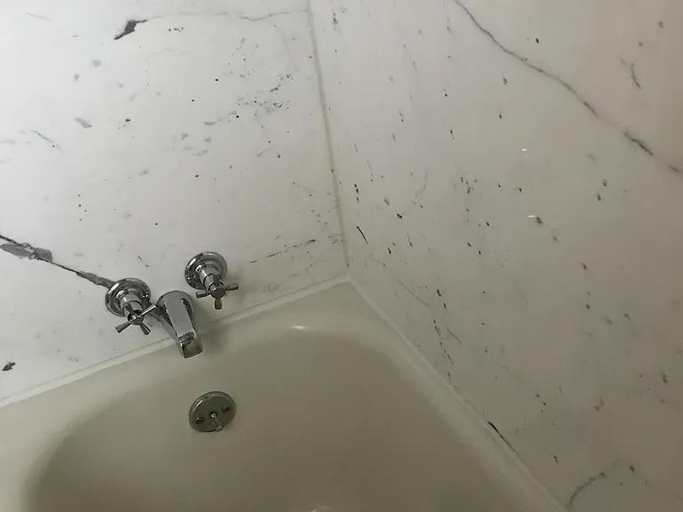 Antique marble walls. 
NO Bleach products in tub-shower allowed. please.