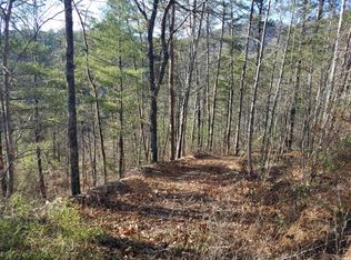 651 Hawk View Rd, Townsend, TN 37882