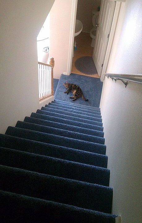 Stairs from 3rd to 2nd floor