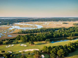 209 Brailsford St, Daniel Island, SC 29492