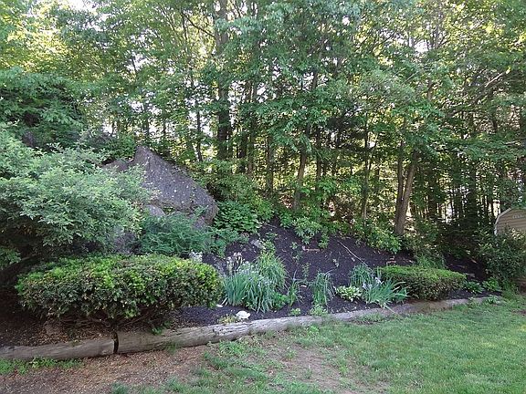 No Maintenace Garden