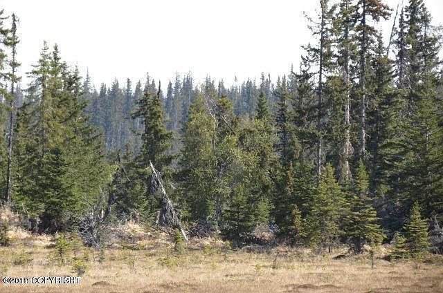 2nd image of 69677 Rosehip Dr