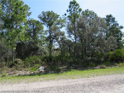 1146 Redbird St, Lake Placid, FL, 33852