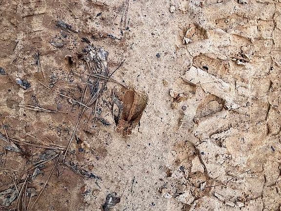 4th image of TRACT 2 Venus Rd