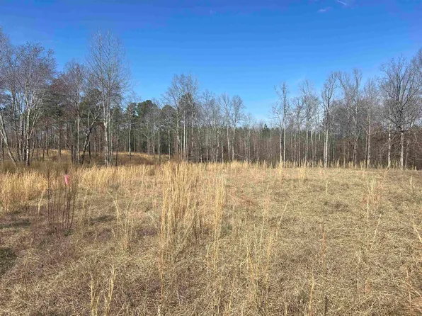 0 County Road 12, Arley, AL 35541