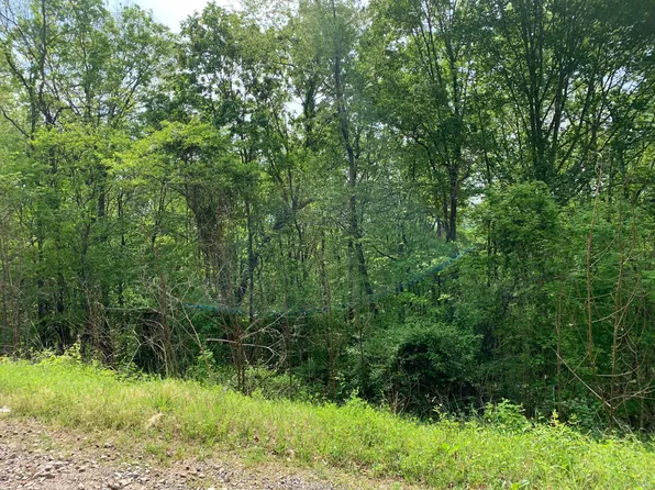 123 Norris Shores Dr Lot 123, Sharps Chapel, TN 37866