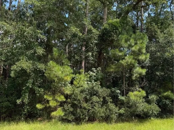 0 Pineland Road, Midway, GA 31320