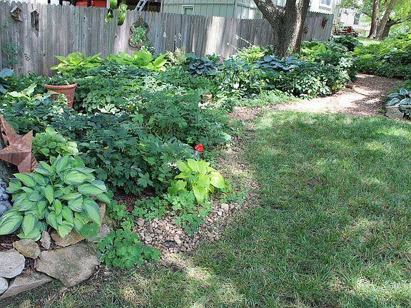 extensive perennial flowers