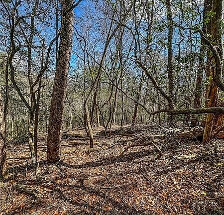 4th image of 0 T S Jarrard Rd