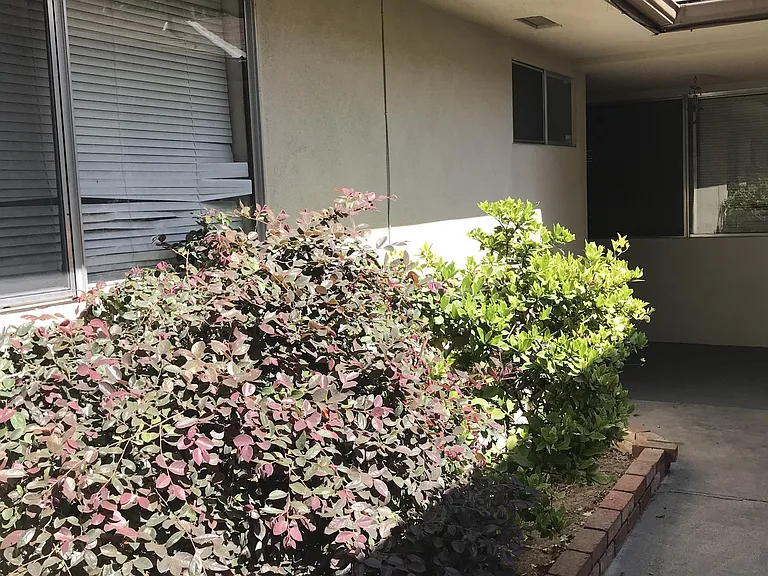 1339 E Rumble Rd — Photo 5