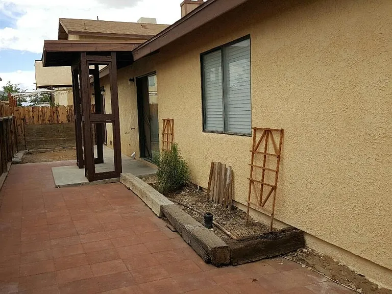 Back yard