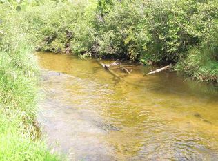 6189 Ringler Rd, Pellston, MI 49769