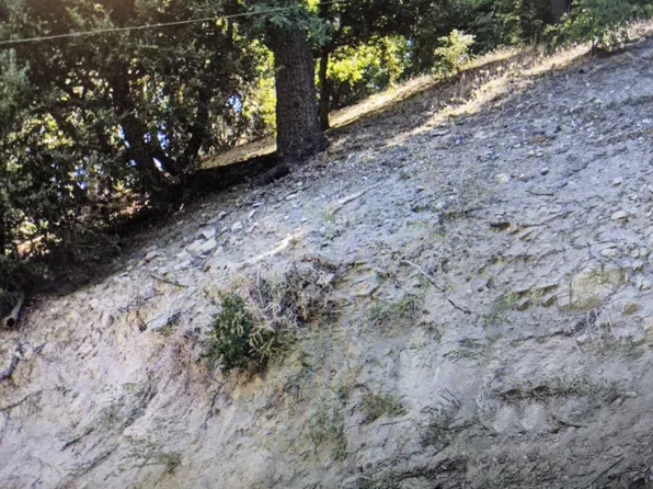 Arbula Dr, Crestline, CA 92325