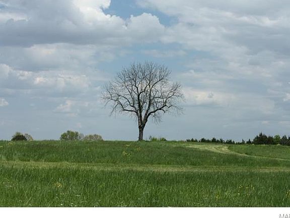 An old Hickory tree you see on your drive in on the 1200' long private road easement back to the property.