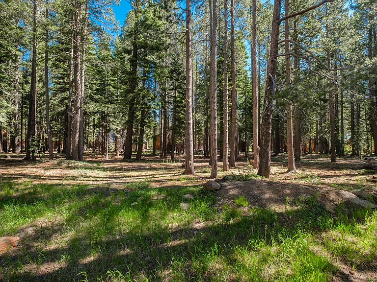 14296 Glacier View Dr — Photo 68