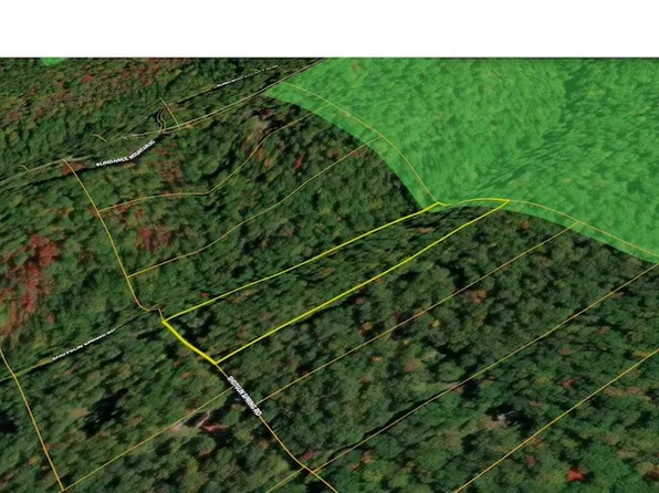 493 Shotgun Spring Rd, New Market, VA 22844