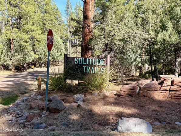 19 N ELK RUB Lane #19, Pine, AZ 85544