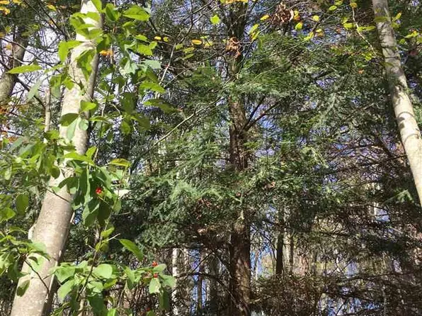 60 & 61 Todd Dr, Prescott, MI 48756