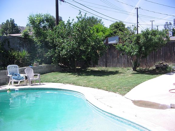 Nice sized yard with fruit trees