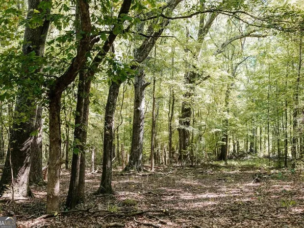 0 Lundburg Rd, Washington, GA 30673