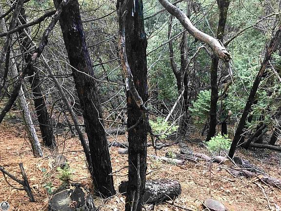 2nd image of 23831 Oxbow Ln S
