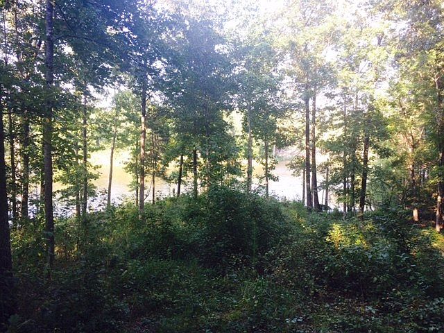 1st image of 901 Highway 6 E