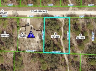 12082 Seabird Ave, Weeki Wachee, FL 34614