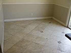 5th image of 625 Francine Ct