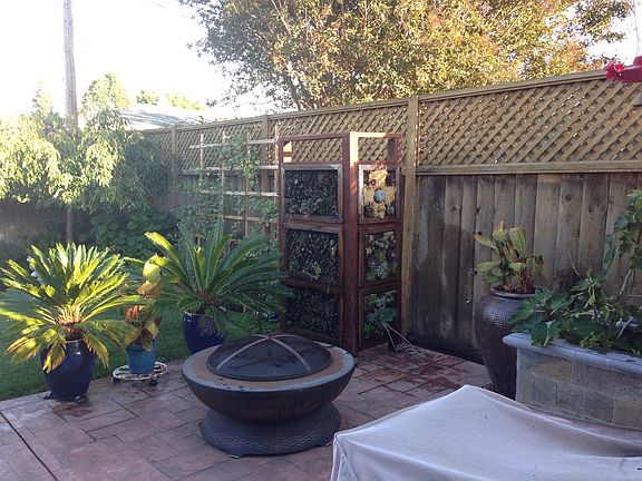 Back yard