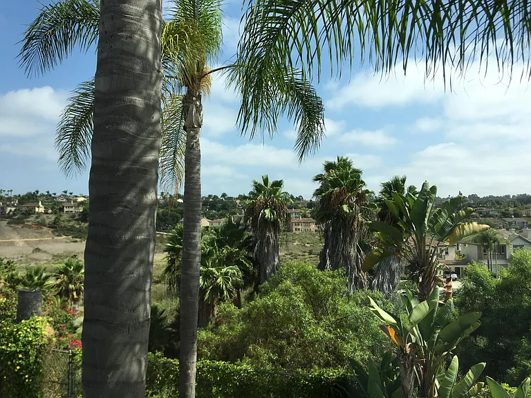 3253 Avenida Anacapa — Photo 16
