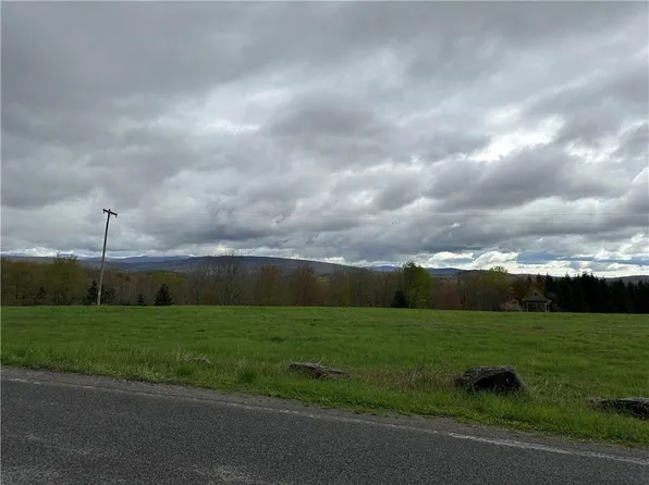 Houghtaling Road, Fallsburg, NY 12733