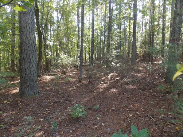 1 SADIE LANE, Lincolnton, GA 30817