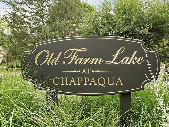 Dog Friendly Community! 