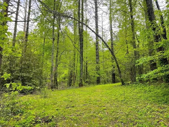 High Water Trl, Topton, NC 28781