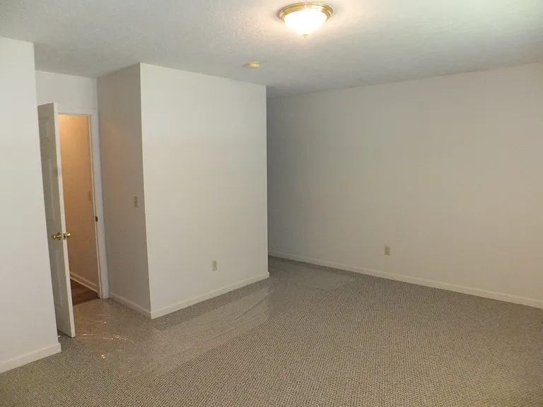 494 Pheasant Run — Photo 12