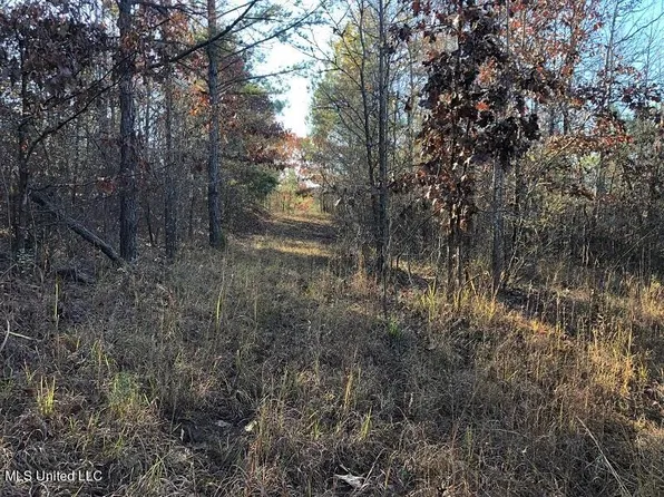 Sand Hill Rd, West, MS 39192