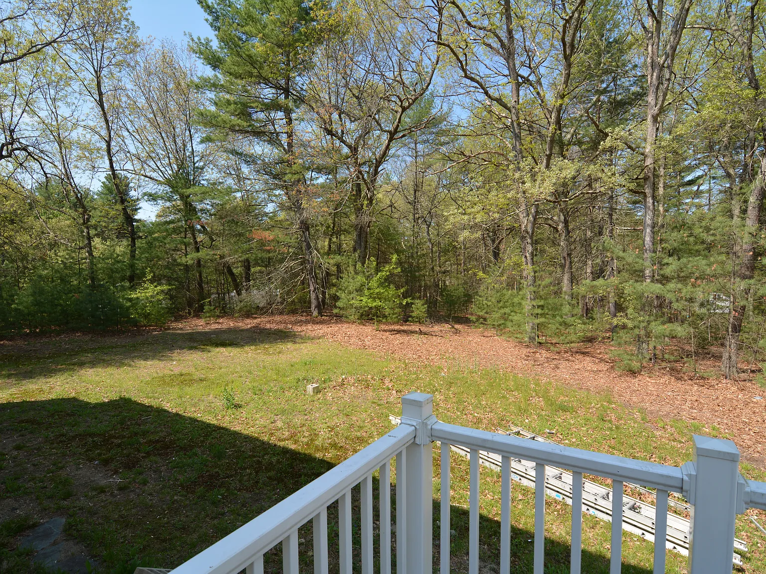 4 bed, 1800 sqft, $3,200 — Photo 3