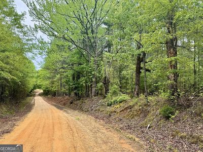 1 Roy Lawrence Rd, Sparta, GA, 31087