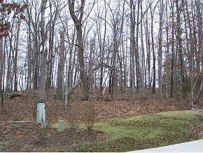 2nd image of Silvercliff Way