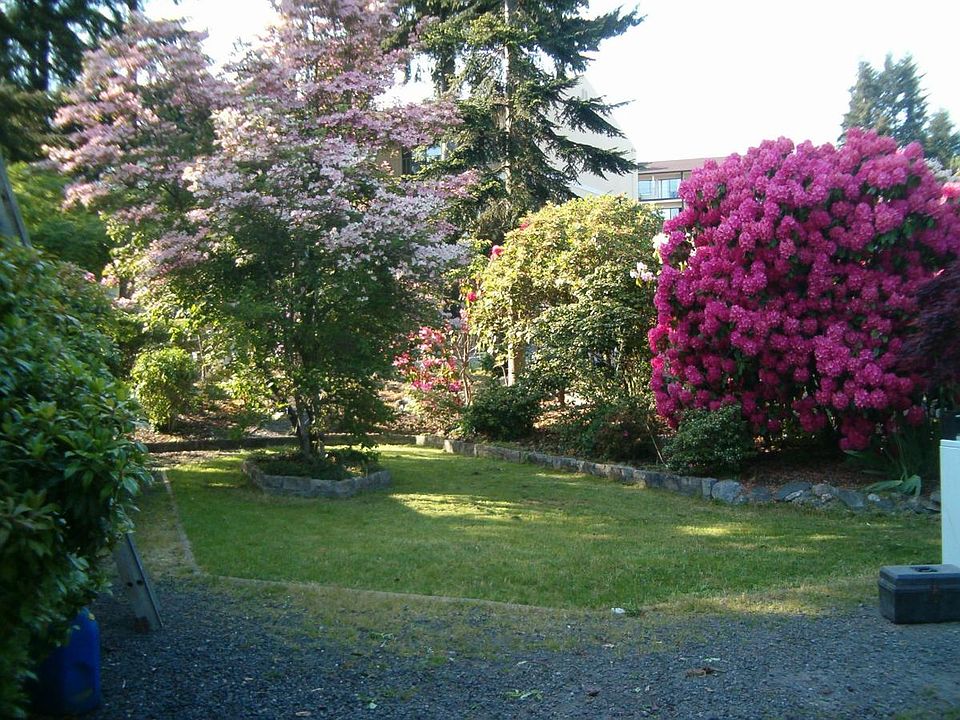 yard
