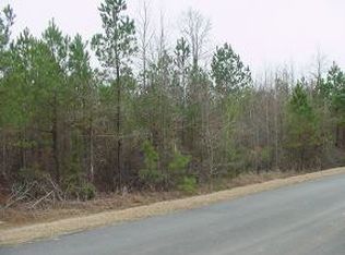 9 Colvin Kennedy Rd, Lincoln, GA --