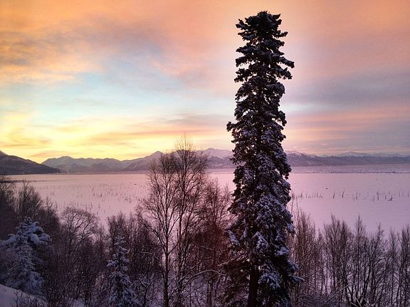 winter view