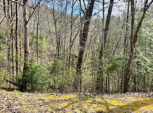 LOT 3 Sassafras Trl, Sevierville, TN 37876