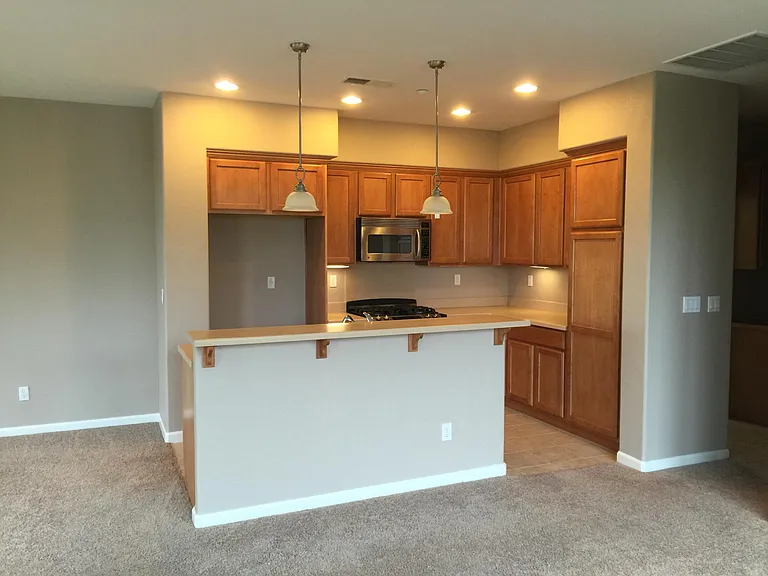 42 W Sergio Way — Photo 5