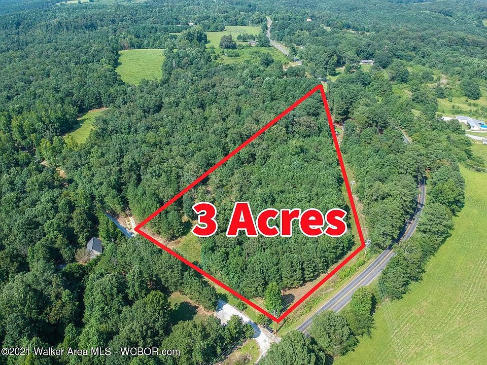 2nd image of Ramas Ln