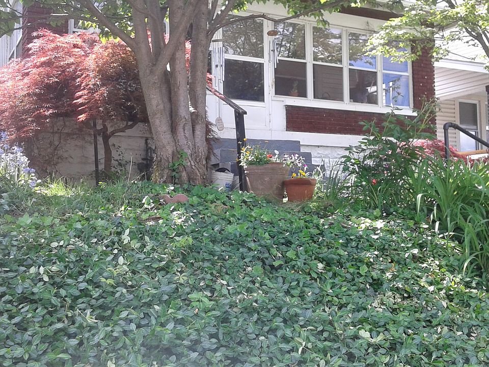 1st image of 914 Mulberry St