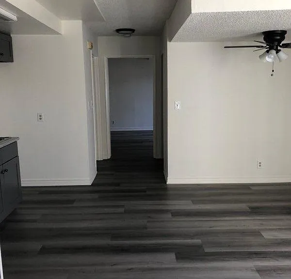 909 Irolo St — Photo 5