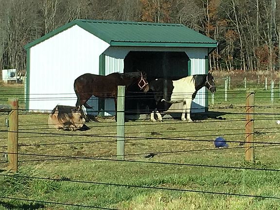 One of the four Run-Ins