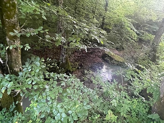 5th image of 0 Little Rock Creek Rd